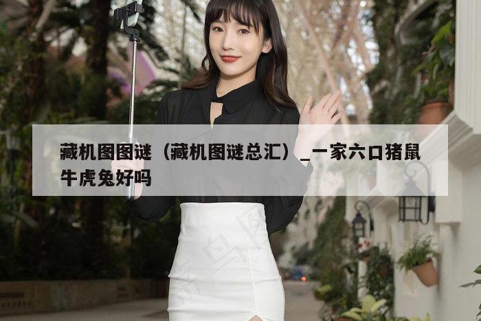 藏机图图谜（藏机图谜总汇）_一家六口猪鼠牛虎兔好吗